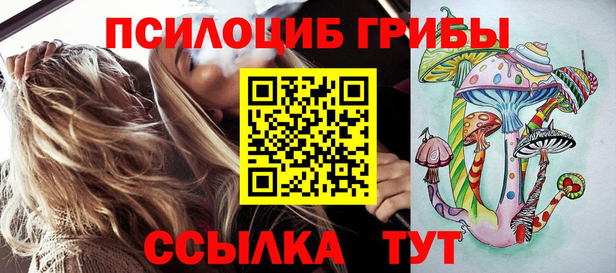 Губкин  Псилоцибиновые грибы MAGIC MUSHROOMS  Вход с VPN 